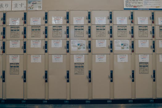 人口红利与教学形态：小班化如何重塑校园生态 教育招生