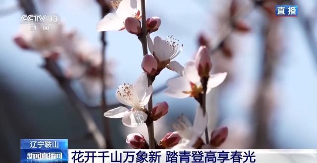  被低估的清明踏青指南：避开人潮，解锁千山隐藏的深度体验 文化旅游