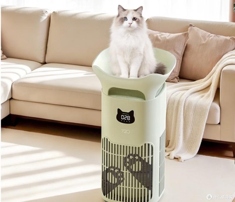 技术拆解！广州天河「当日接猫」猫舍的核心指标与选择逻辑 新闻