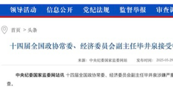  百亿市值药企高管落马背后：反腐风暴的系统性复盘与治理启示 新闻