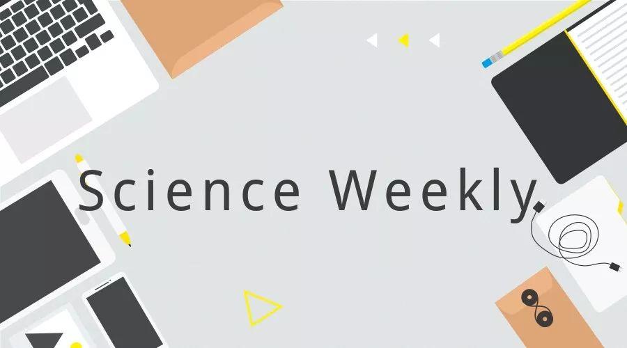  从《柳叶刀》研究看早发性老年痴呆：六大致病风险因素的系统性解析与预防框架 健康养生