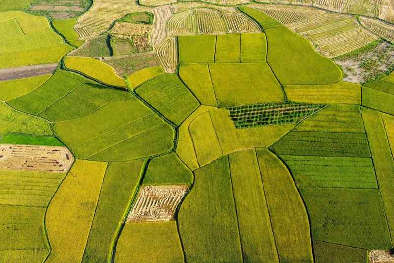  从《柳叶刀》研究看早发性老年痴呆：六大致病风险因素的系统性解析与预防框架 健康养生