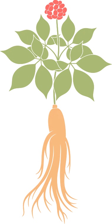  技术视角下的闽台宗族文化数字化传承体系深度解析 文化旅游