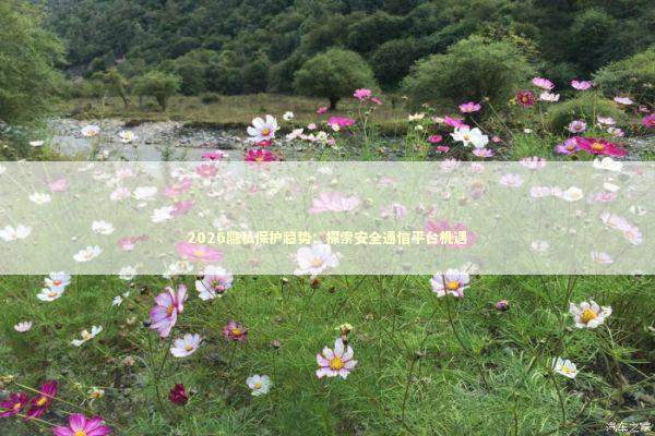 2026隐私保护趋势：探索安全通信平台机遇 新闻