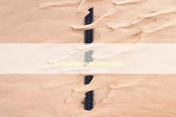 对上网安全有要求的朋友都在找这类工具 IT技术