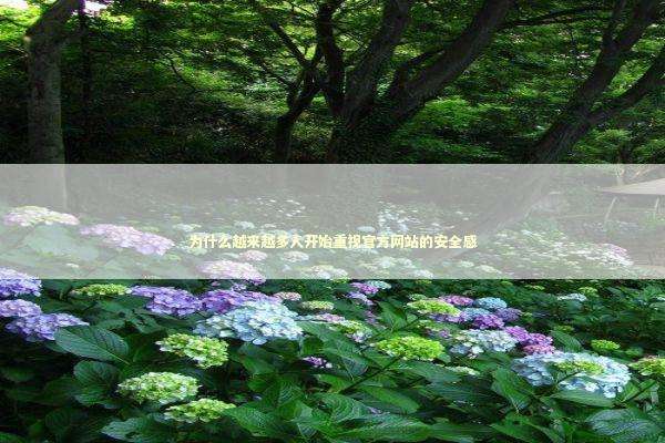 为什么越来越多人开始重视官方网站的安全感