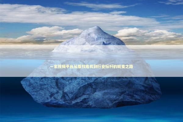 一家视频平台从版权危机到行业标杆的蜕变之路