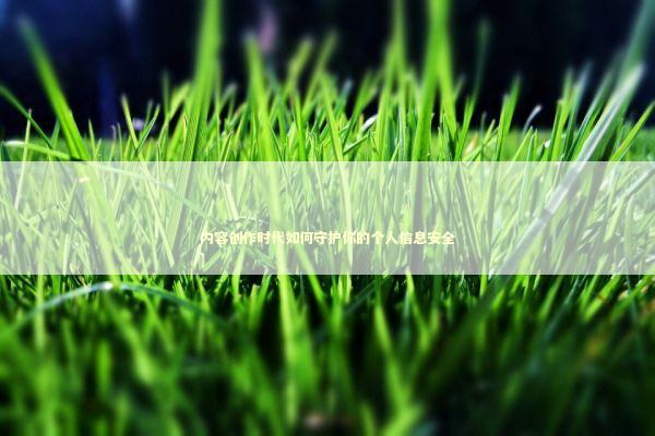 内容创作时代如何守护你的个人信息安全