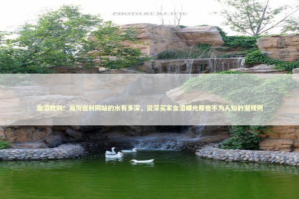 血泪教训：海淘返利网站的水有多深，资深买家含泪曝光那些不为人知的潜规则