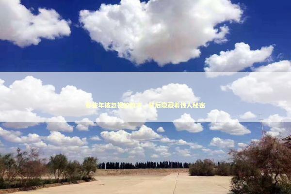 那些年被忽视的数字，背后隐藏着惊人秘密