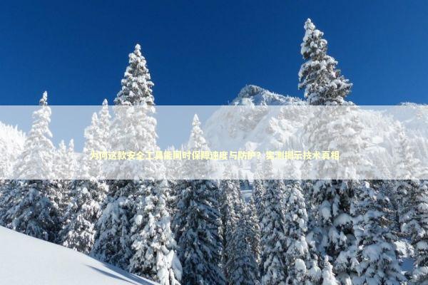 为何这款安全工具能同时保障速度与防护？实测揭示技术真相 IT技术